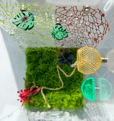 Okueejur jumping spider hide offers cozy nest-like shelter for observation.