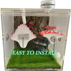 Okueejur Jumping Spider magnetic feeder dish provides tidy feeding in enclosures.