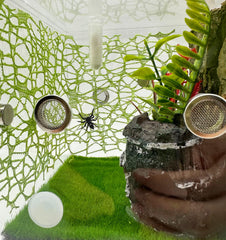 Okueejur jumping spider moss ribbon brown offers camouflage and climbing paths.