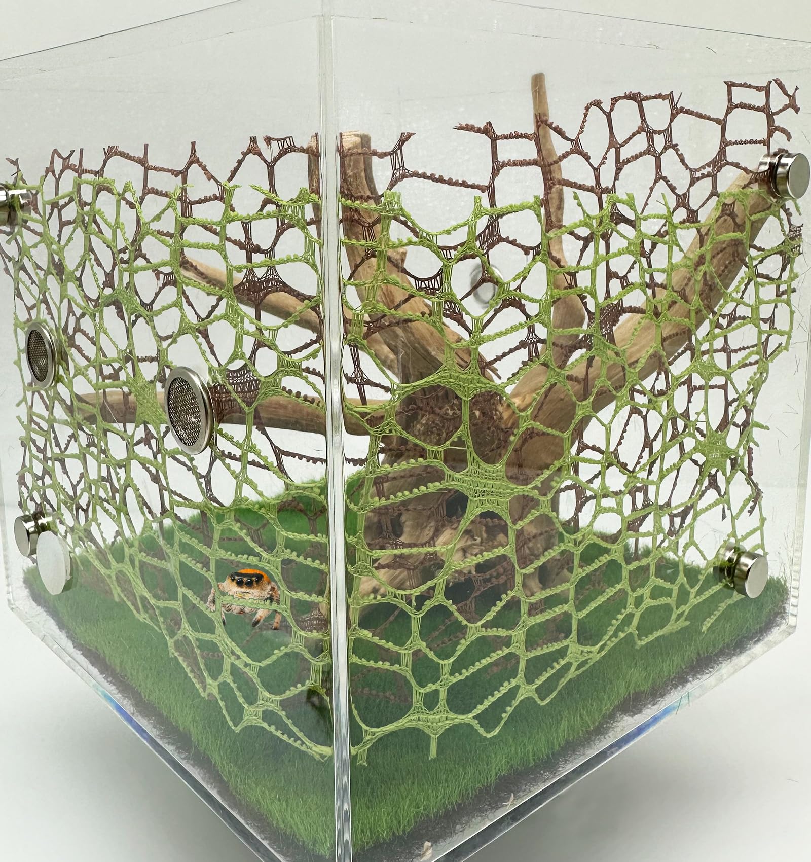 Okueejur brown moss ribbon helps spiders explore and hide within habitats.