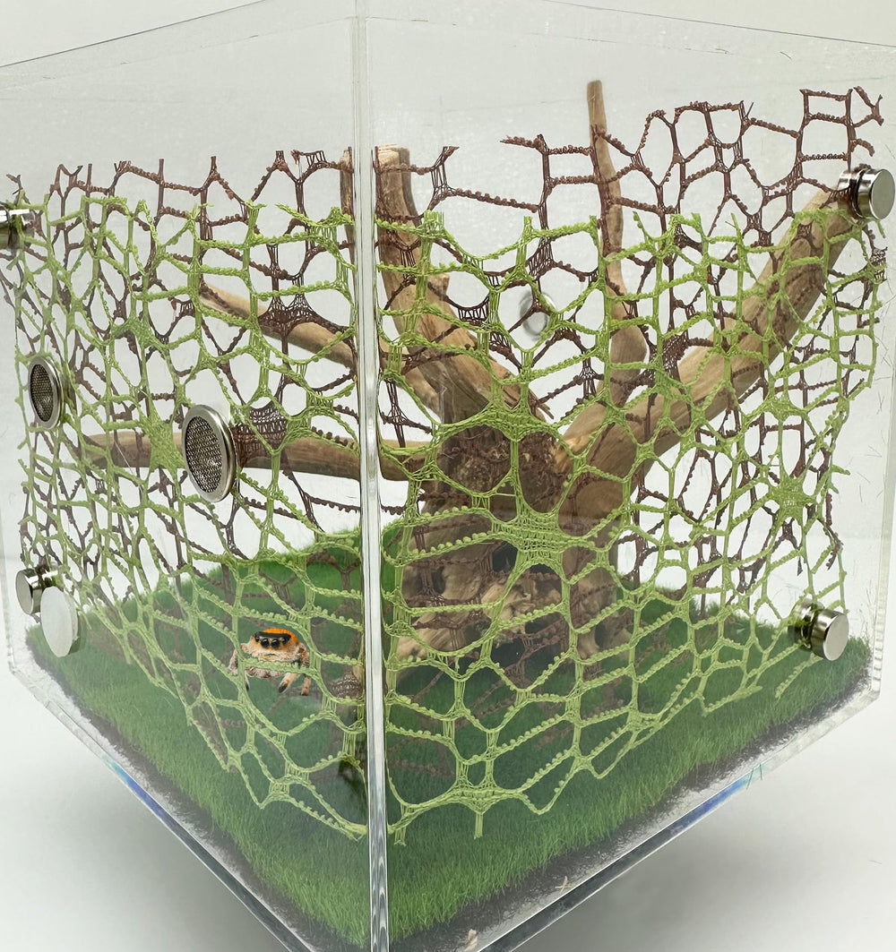 Okueejur brown moss ribbon helps spiders explore and hide within habitats.