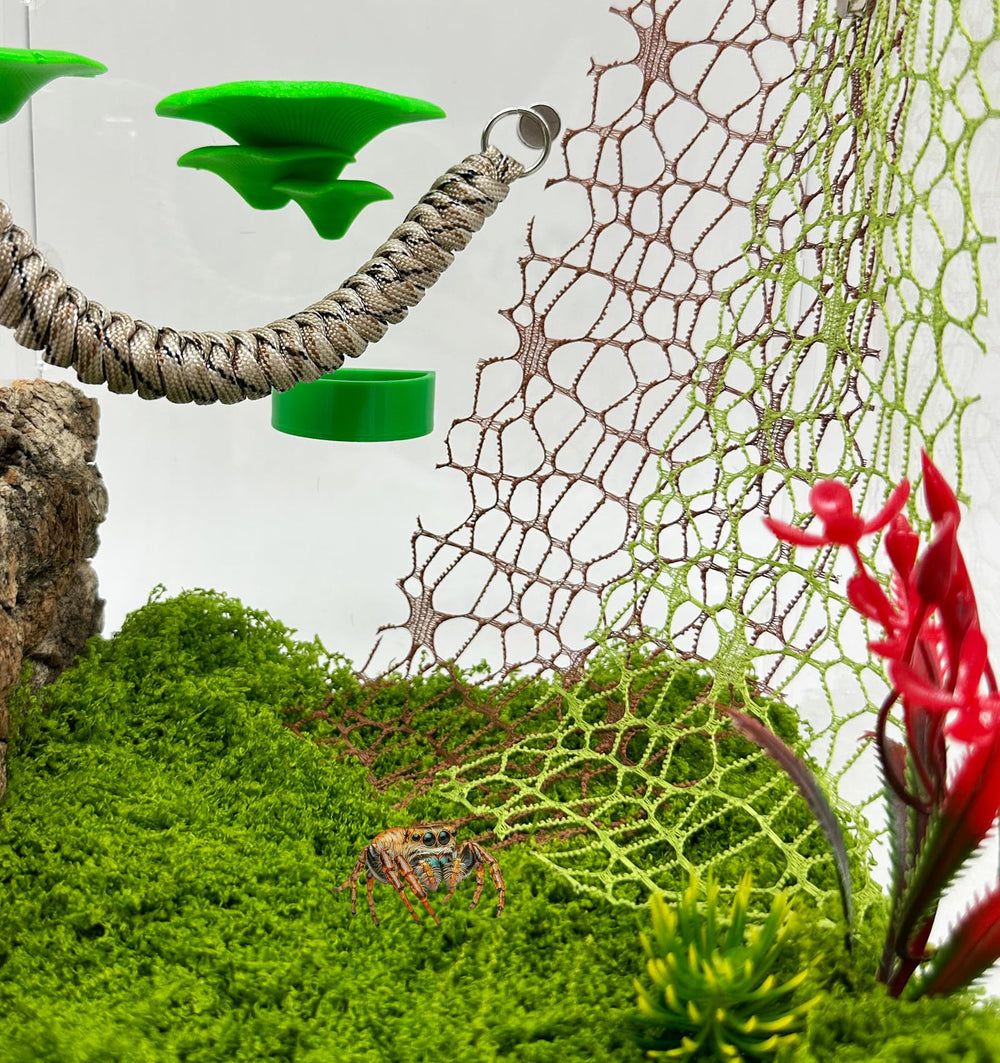 Okueejur jumping spider moss ribbon green adds a natural look and climbing options.