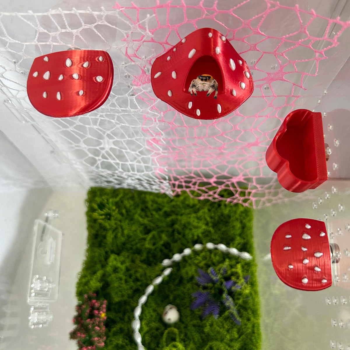 Okueejur Jumping Spider mushroom platforms in 2.16-inch size for climbing and cozy hideouts.