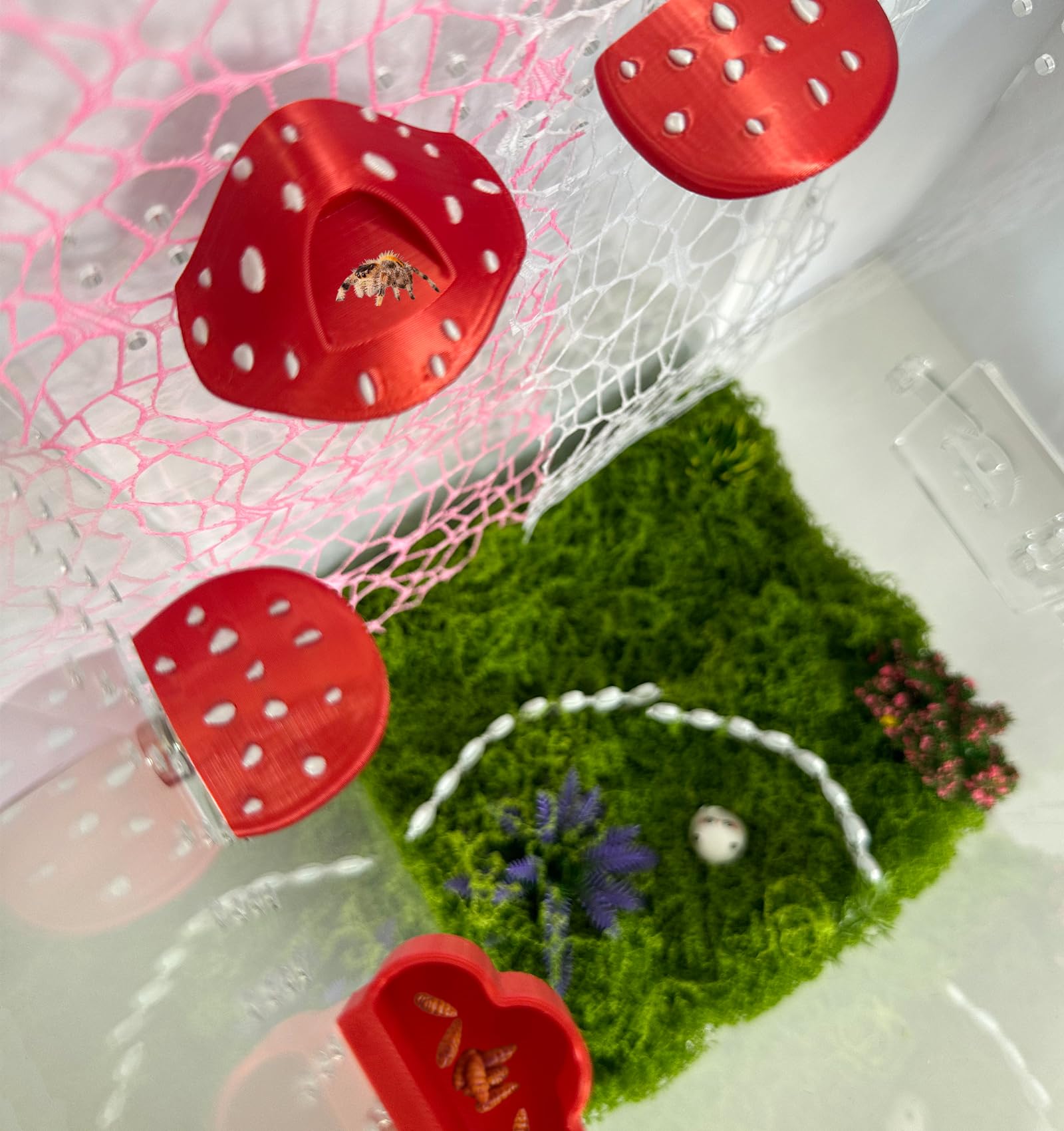 Okueejur Jumping Spider pink web adds whimsical texture for decorating and hiding.