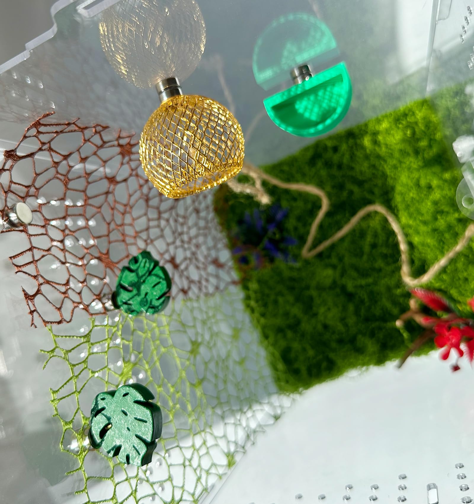 Okueejur brown spider web adds visual depth and extra climbing area.