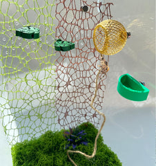 Okueejur green spider web enhances climbing space and enclosure aesthetics.