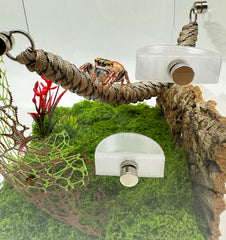 Okueejur mini feeding dish ready for tiny pet meals.