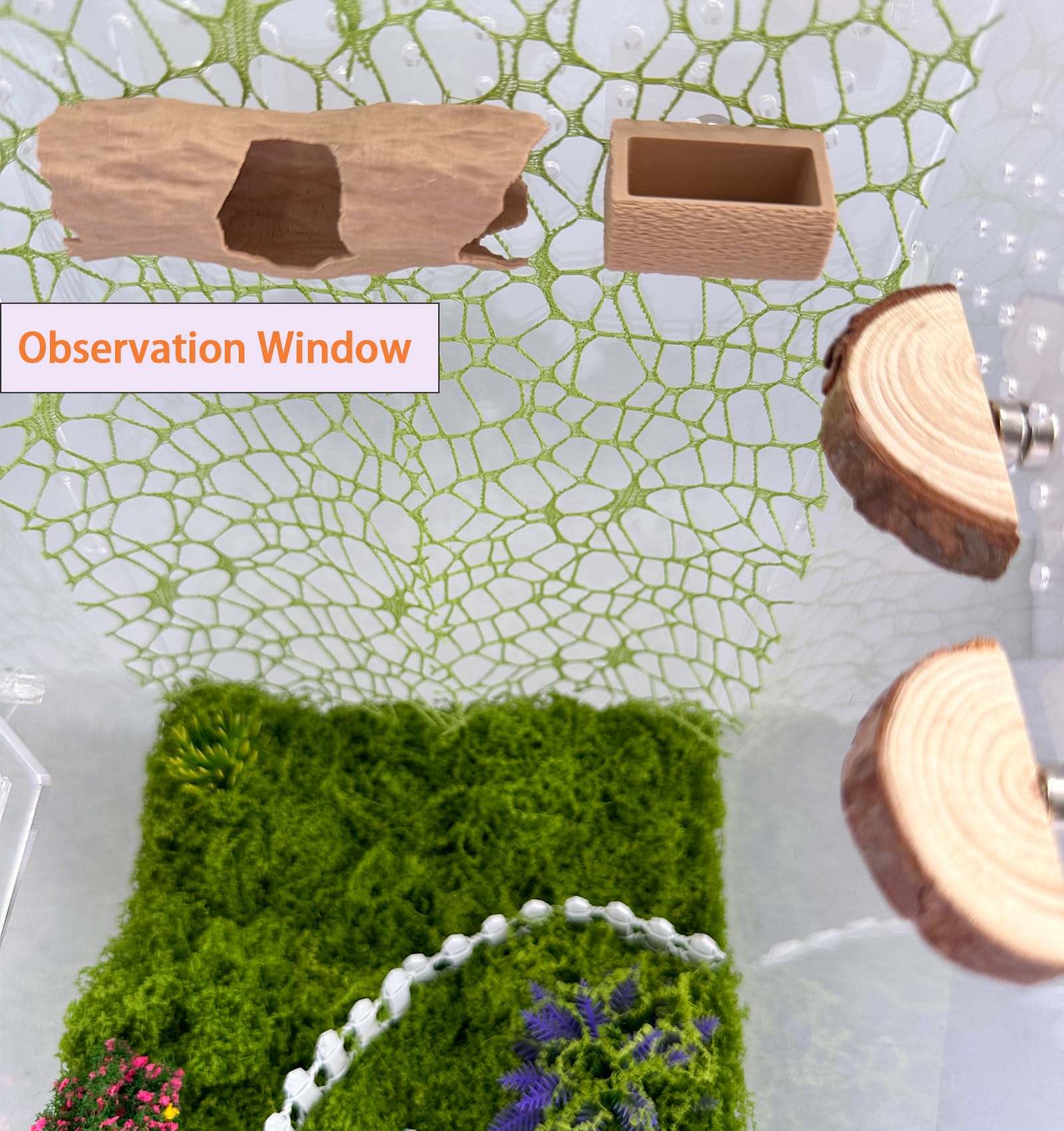 Okueejur natural enclosure decor enhances realism in small terrariums.