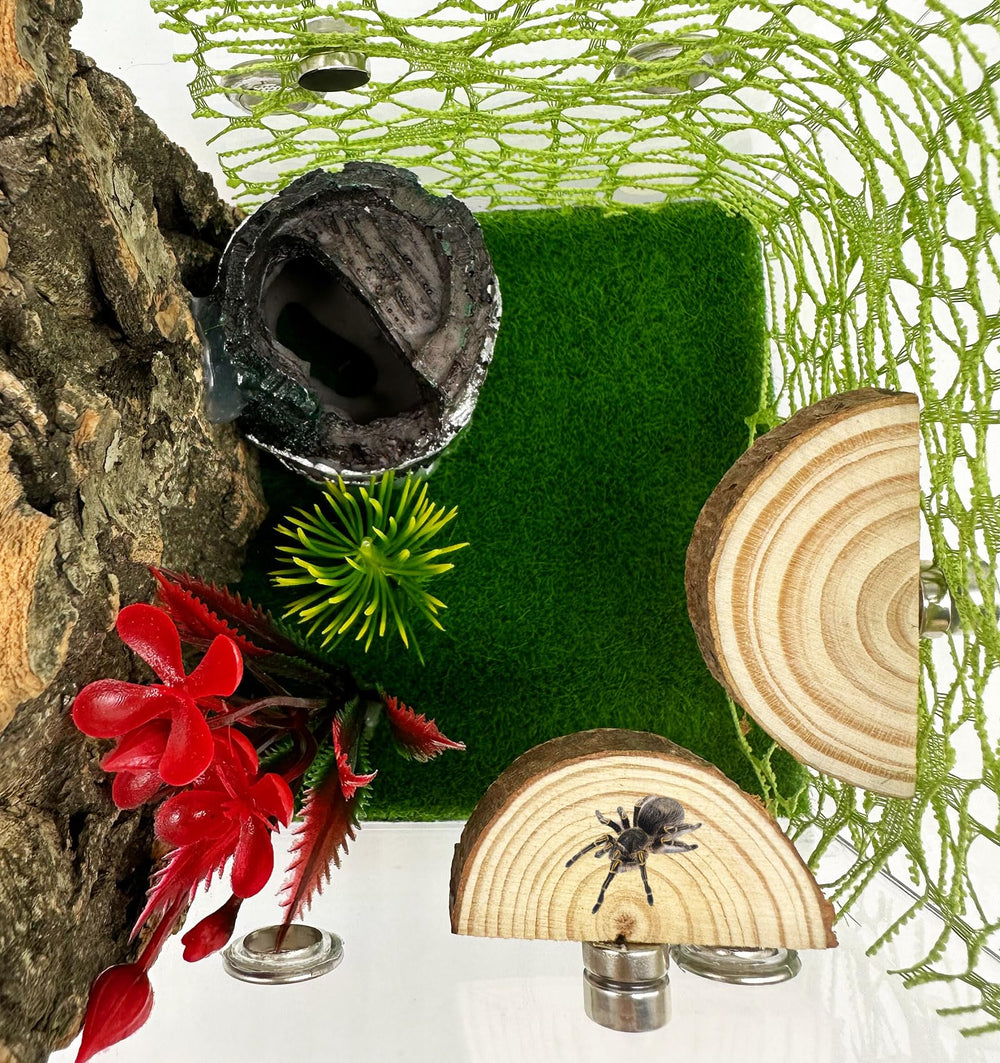 Okueejur natural pine ledges offer a non-toxic platform for arboreal pets.