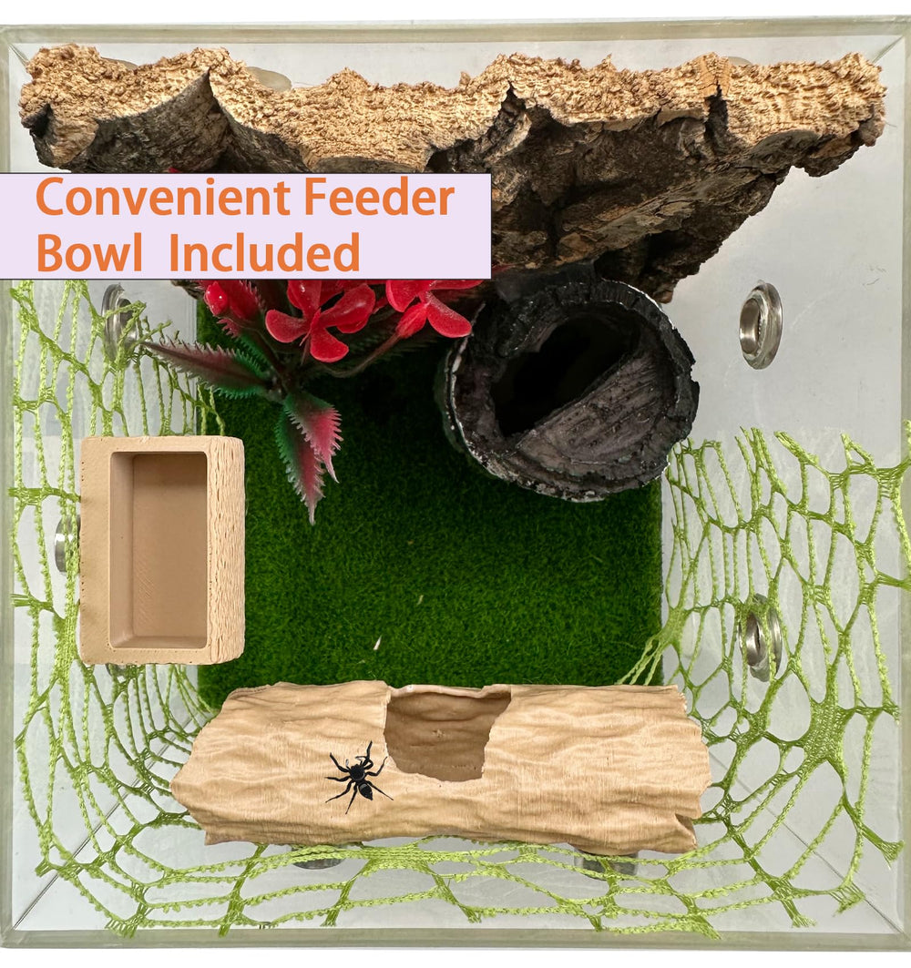 Okueejur wooden platforms give climbing routes and resting spots for active spiders.