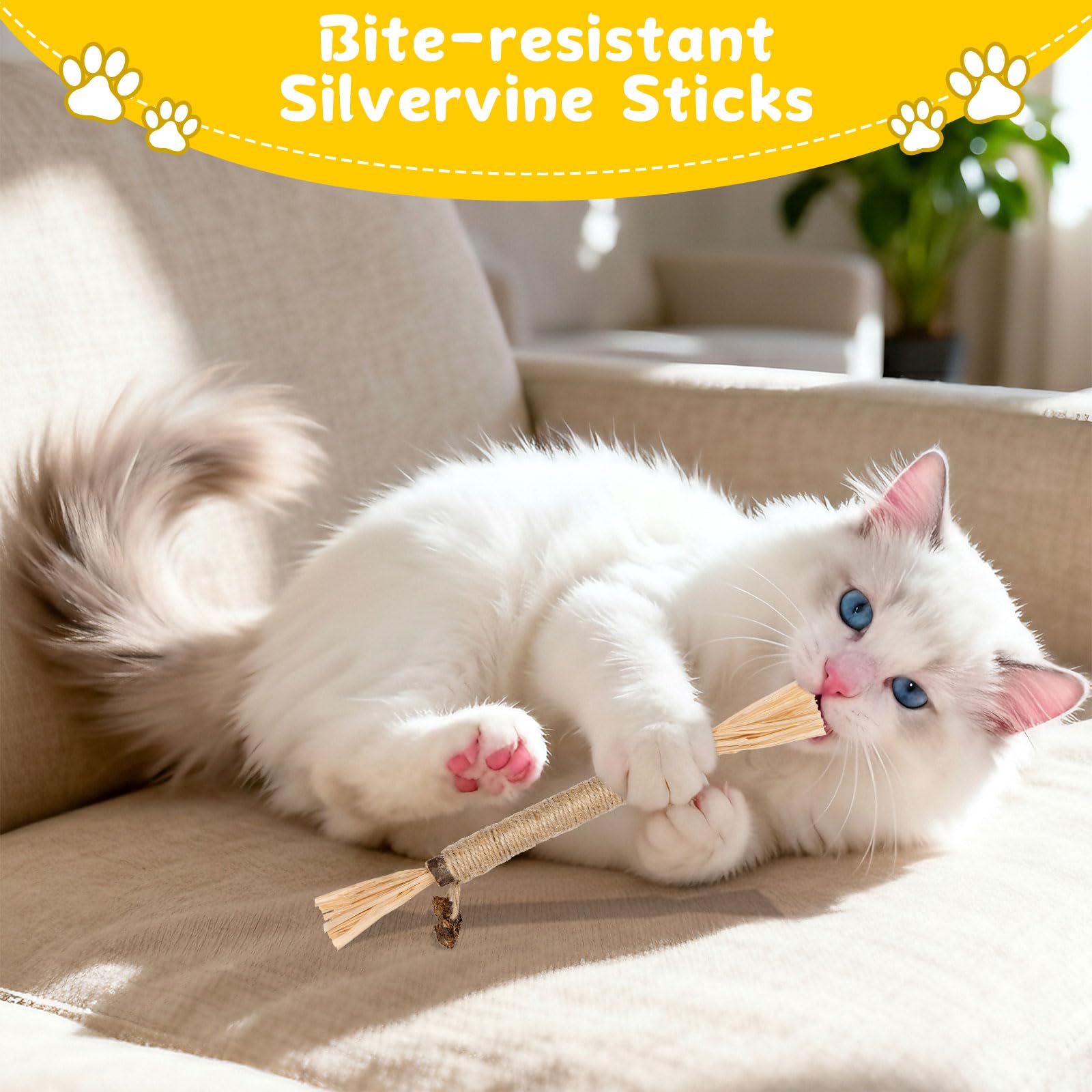 Okxiri 9-pack silvervine sticks product image highlighting variety and indoor cat play.