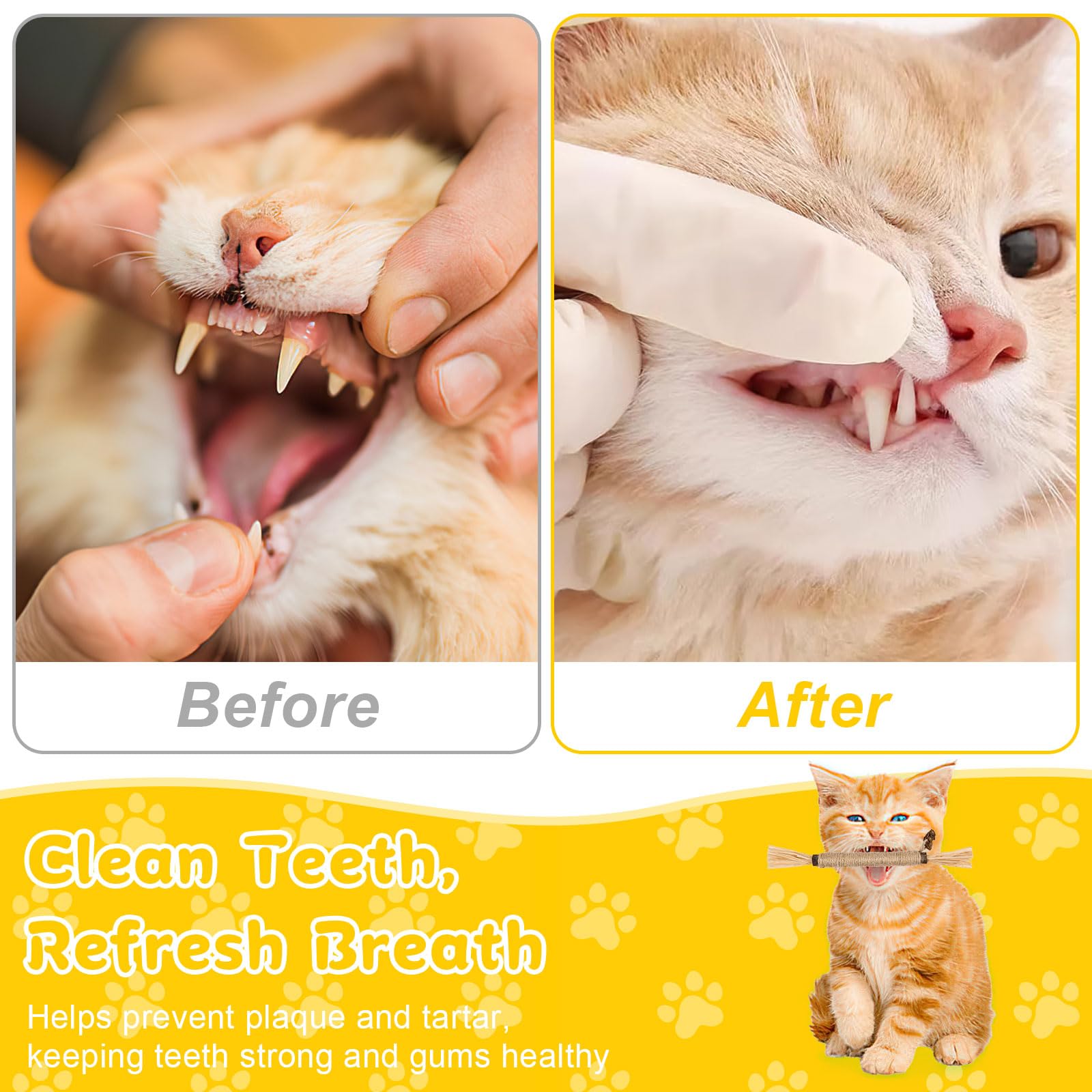 Okxiri matatabi cat chew sticks in use during joyful play, aiding dental-friendly exploration.