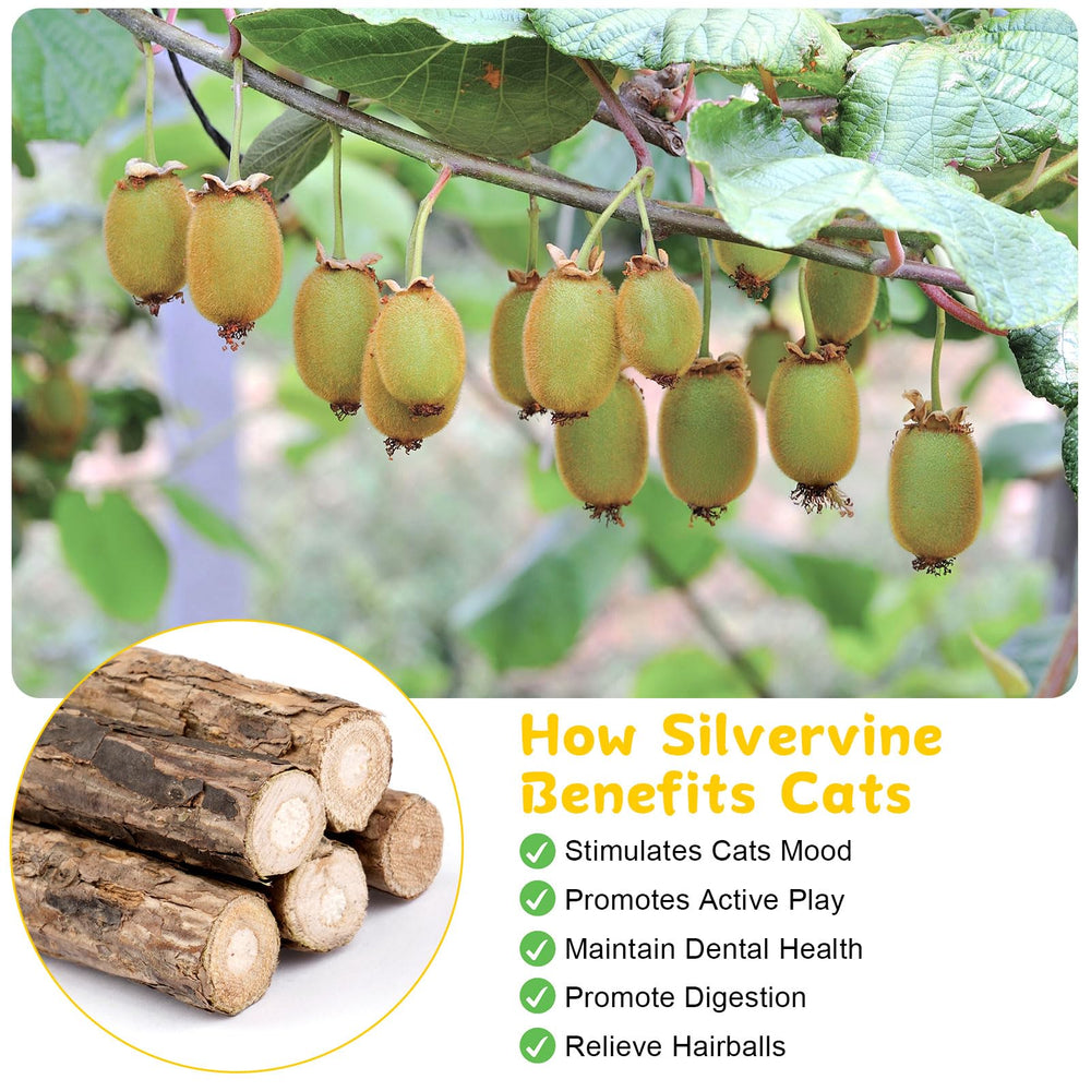 Okxiri silvervine sticks cat toy resting beside play area highlighting durability for chewing.
