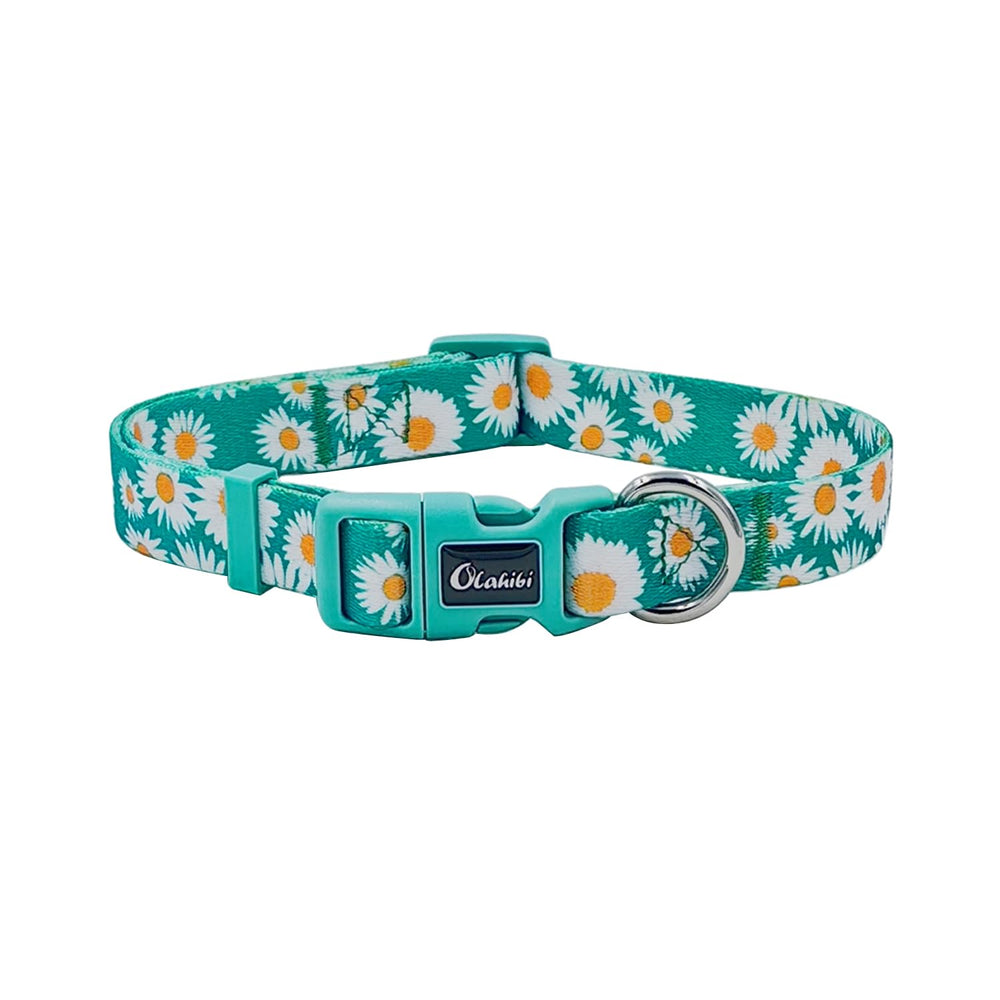 Olahibi Basic Dog Collar front view with Daisy pattern for comfortable daily walks.