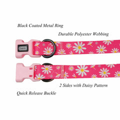 Olahibi daisy-pattern leash close-up highlighting soft polyester weave