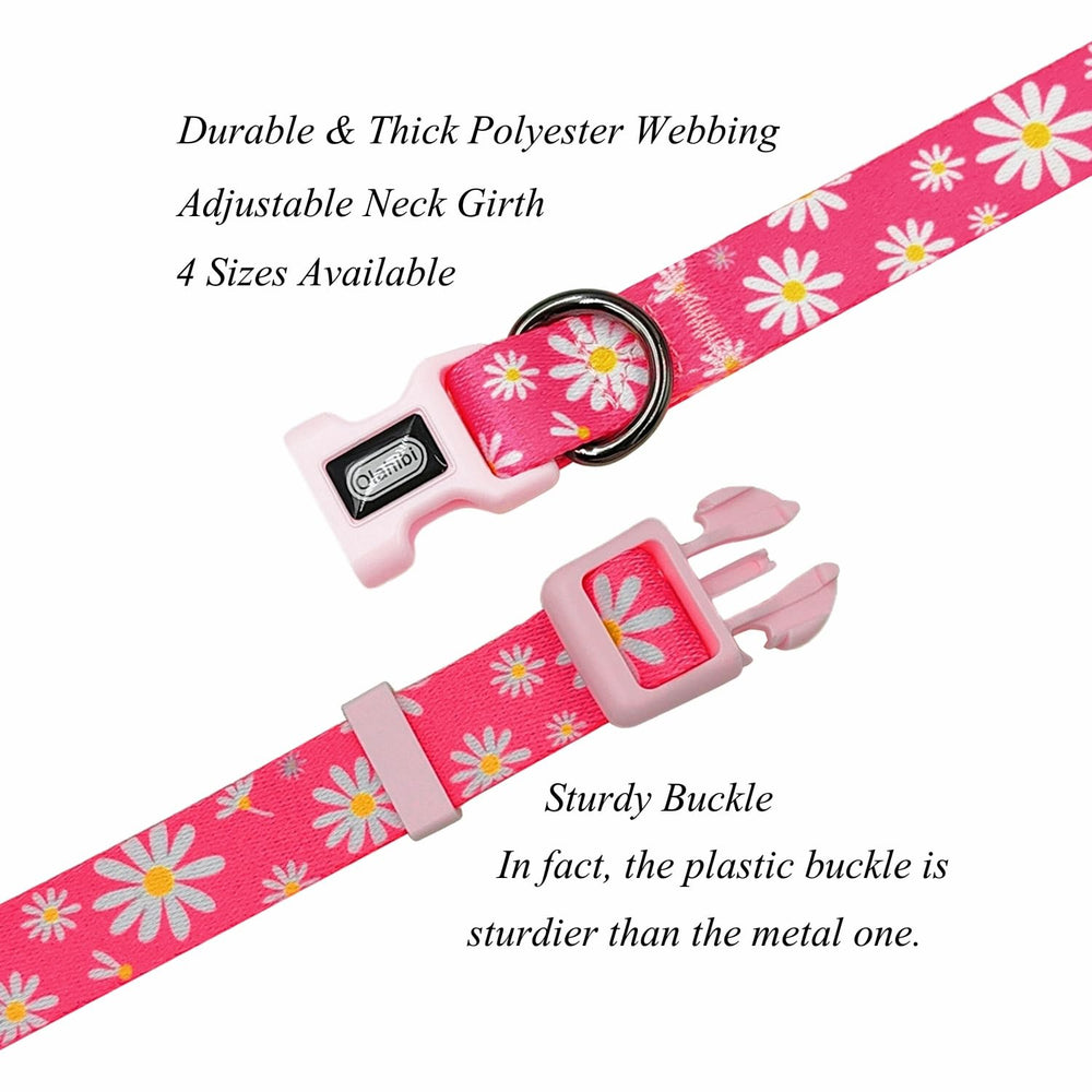 Olahibi collar with black-coated metal hardware for secure fits