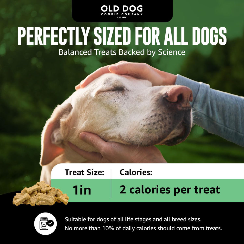 Old Dog Cookie Company low-calorie training treat closeup ideal for daily reinforcement.
