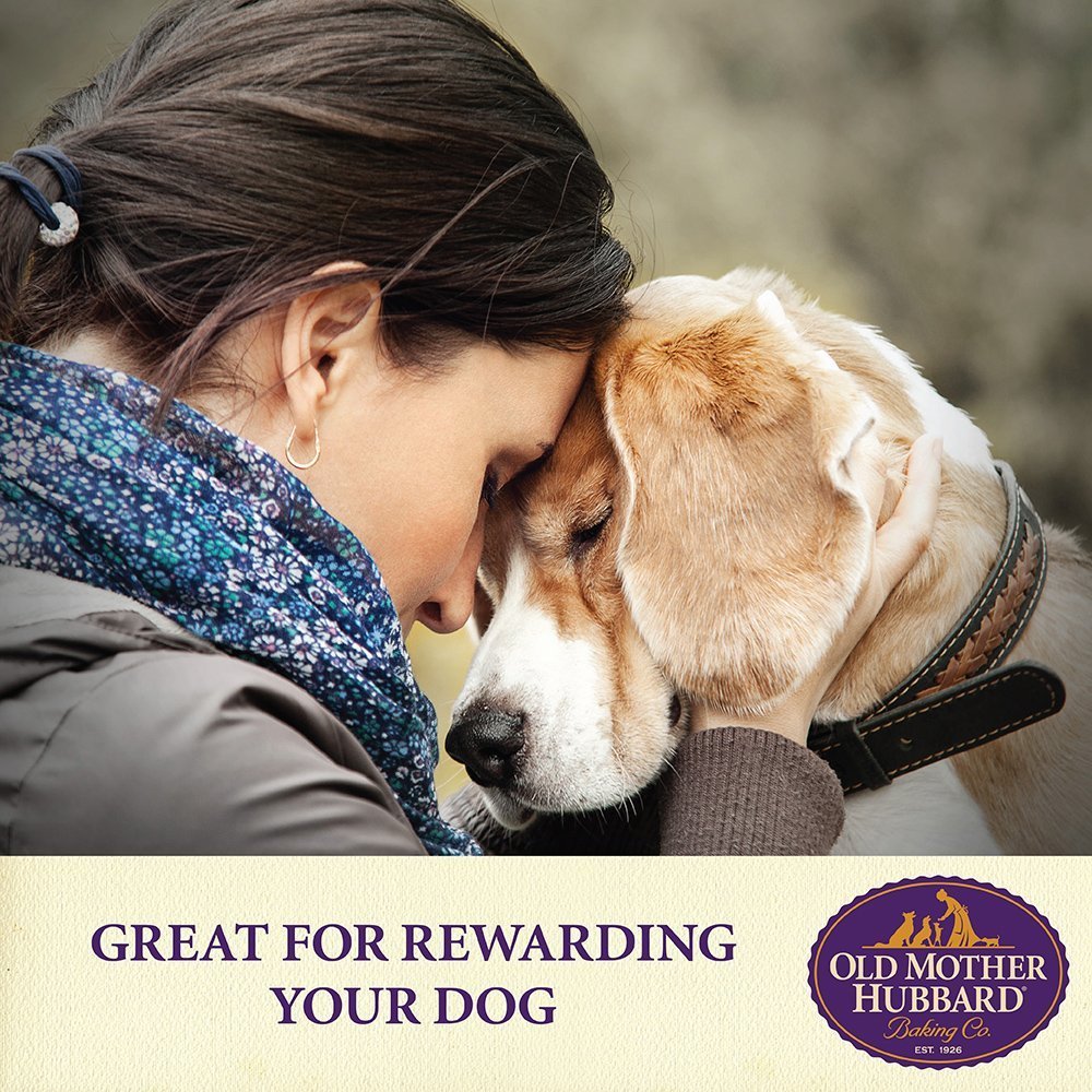 Old Mother Hubbard Crunchy Classic Original Assortment dog snack close-up highlighting crunchy texture.