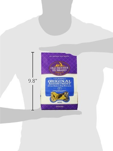 Old Mother Hubbard Crunchy Classic Original Assortment pack in hand demonstrates portability.