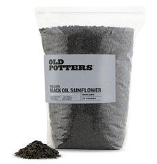 Old Potters Wildlife Black Oil Sunflower Seeds in a backyard feeder for diverse birds and year-round delight.