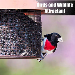 Old Potters Wildlife seeds close-up reveal unprocessed, natural origin.