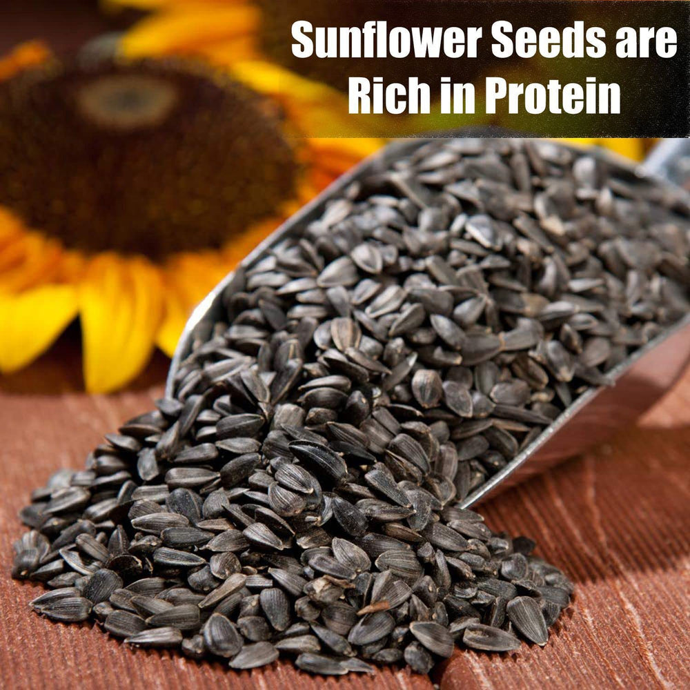 Old Potters Wildlife seeds non-GMO label highlights USA-grown small-farm production.
