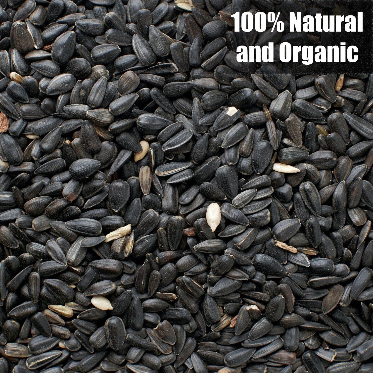 Old Potters Wildlife Black Oil Sunflower Seeds show authentic, unprocessed quality for bird feeding.
