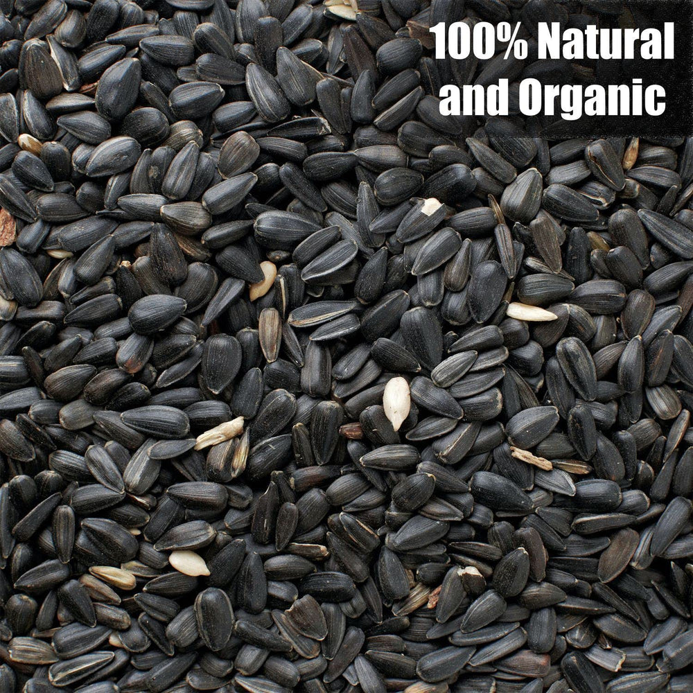 Old Potters Wildlife Black Oil Sunflower Seeds show authentic, unprocessed quality for bird feeding.