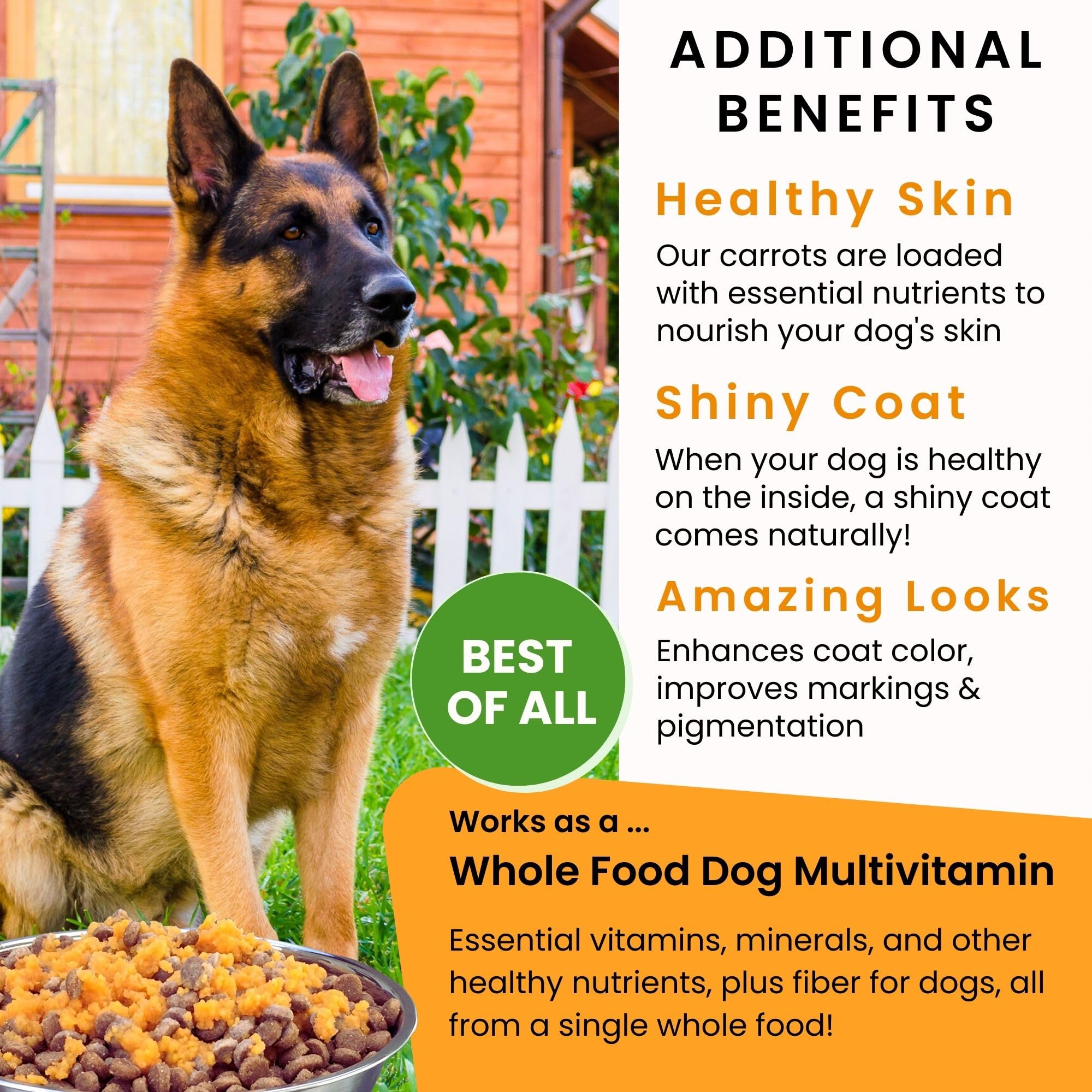 Smiling dog eagerly eating as the topper mixes with regular kibble.