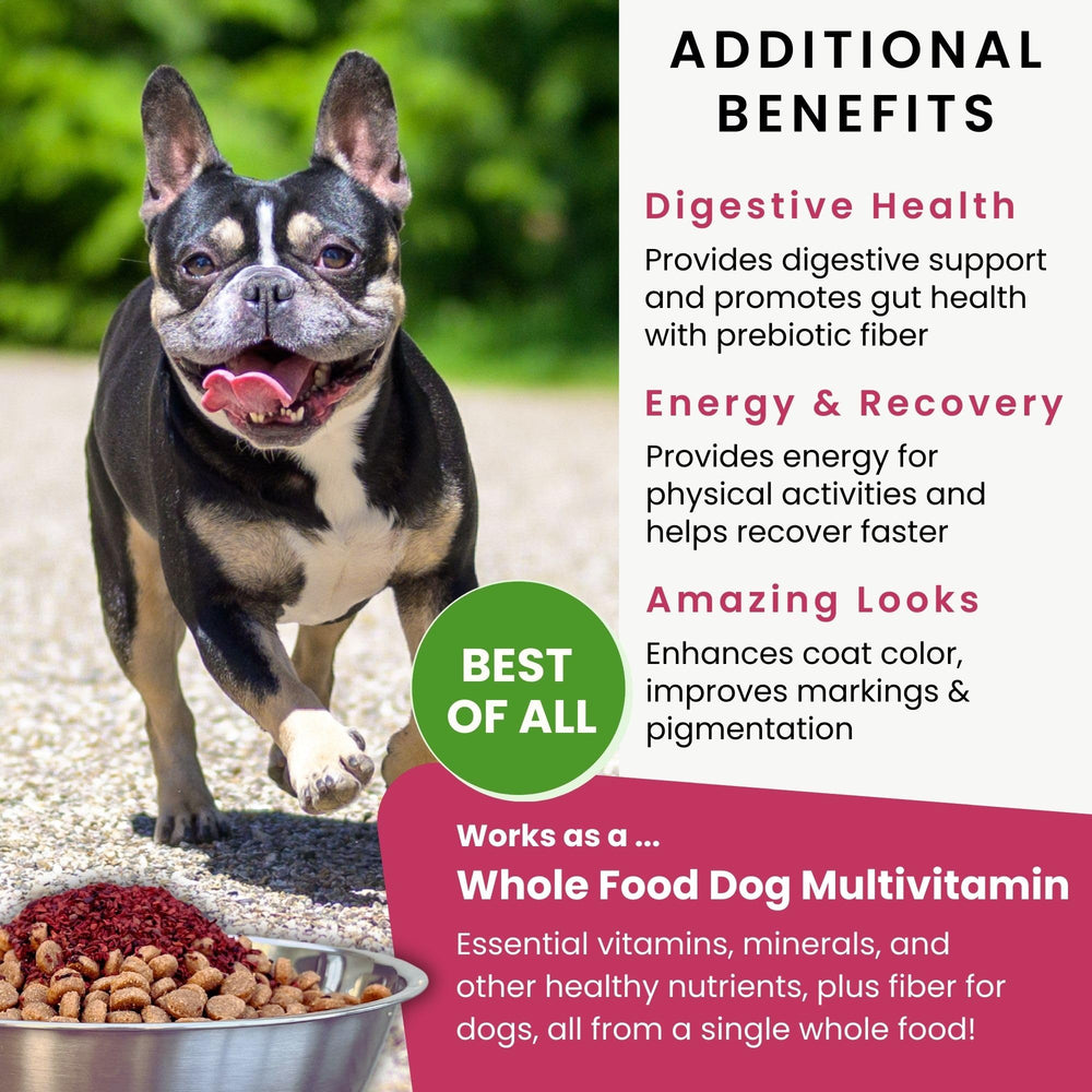 Olewo Original Red Beets provide fiber for dogs supporting regularity.