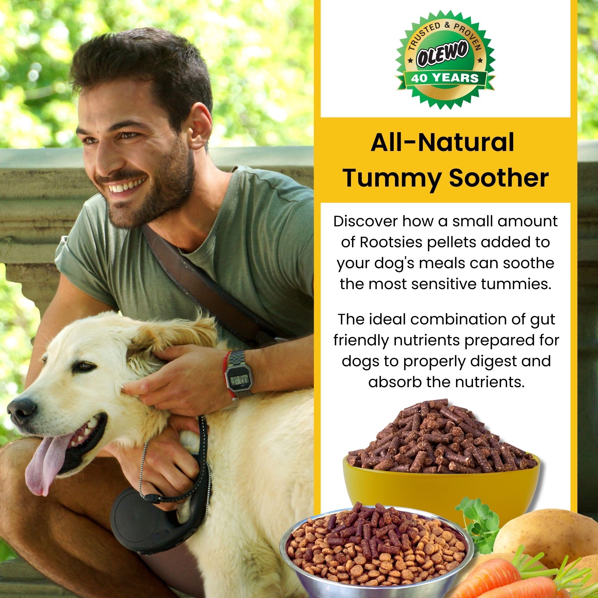 Olewo Rootsies image emphasizing gut health with natural prebiotic fiber for dogs.