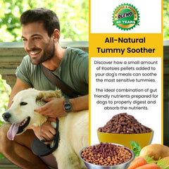 Olewo Rootsies image emphasizing gut health with natural prebiotic fiber for dogs.