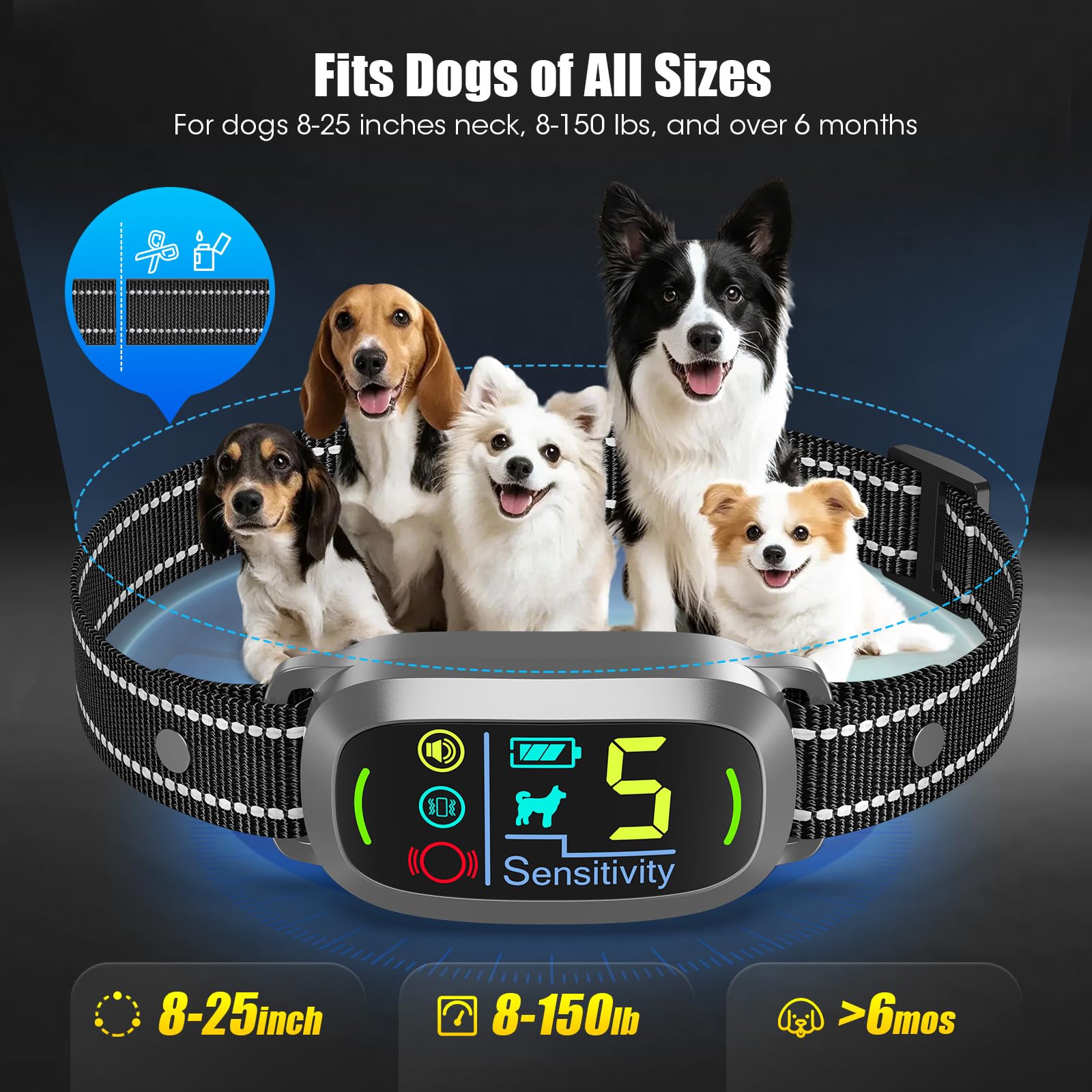 Oliry bark collar adjusted to fit different neck sizes for comfortable wear.