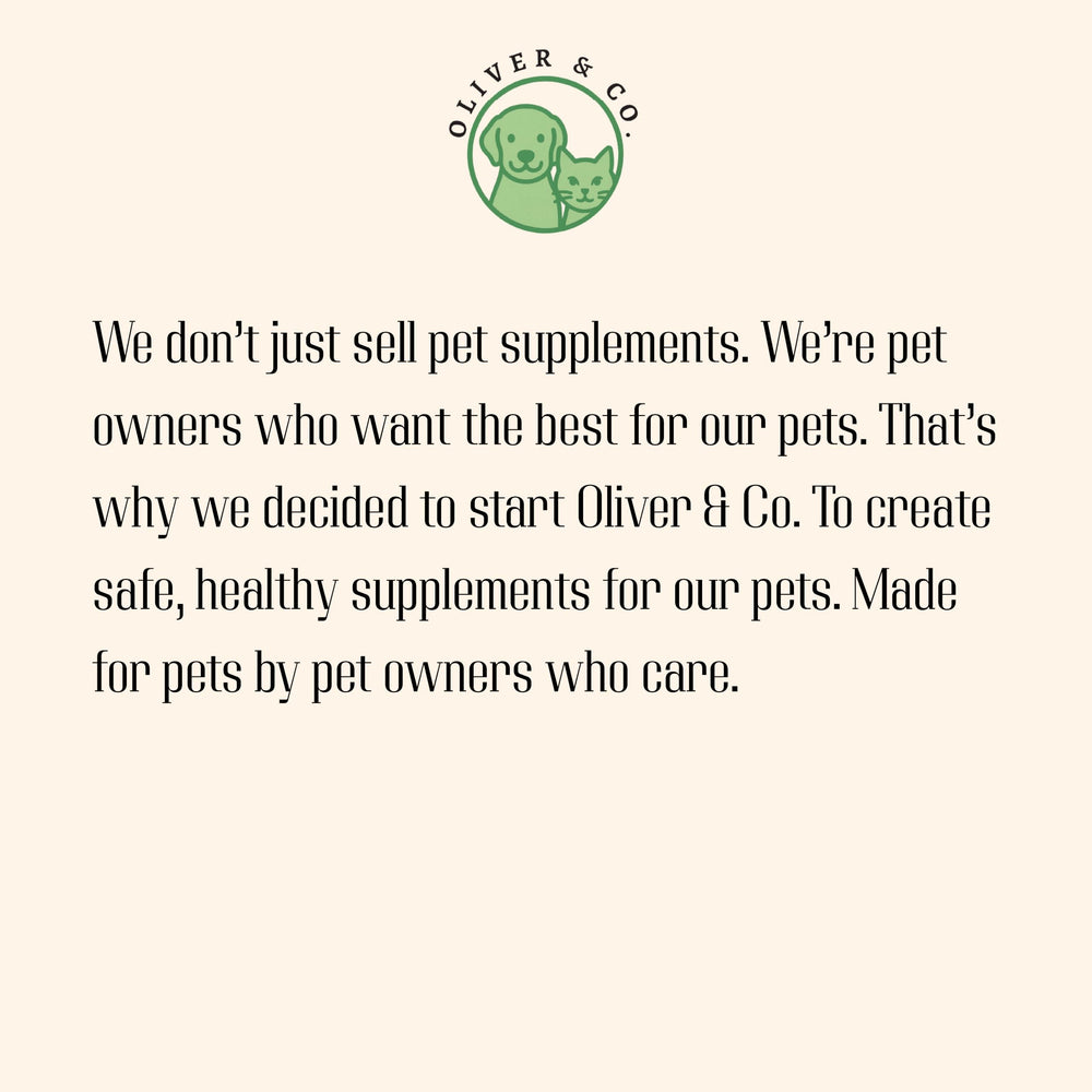 Oliver & Co. Collagen for Dogs 1oz-bottle ready-to-use tincture for ongoing care.