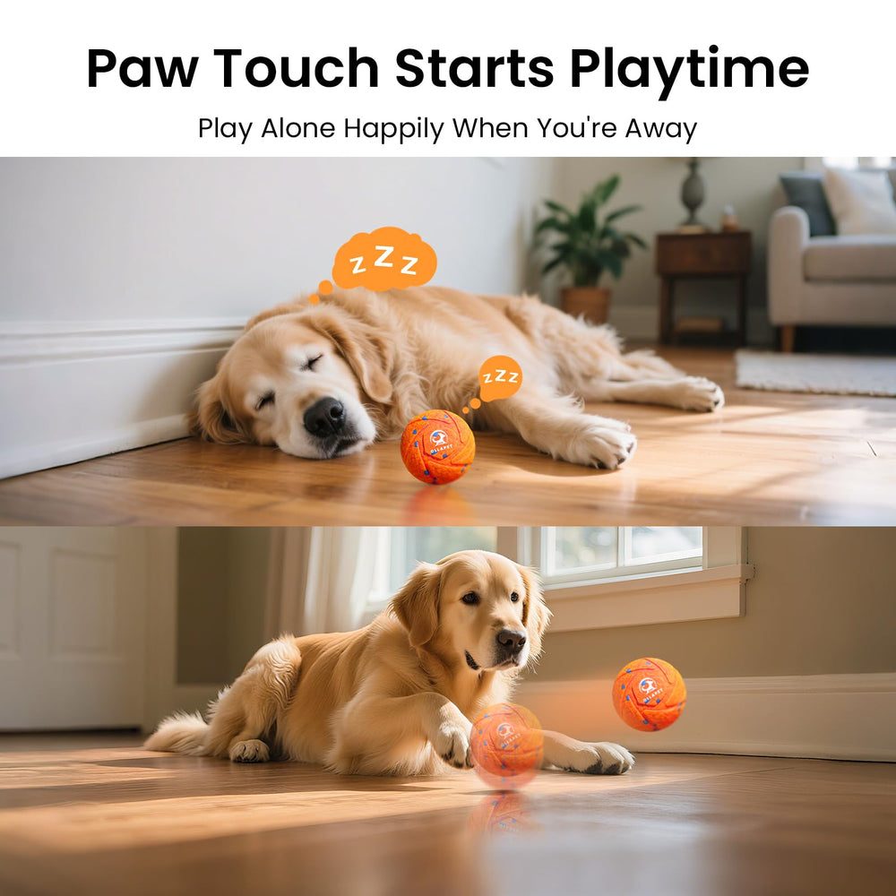 Ollapet ball IPX7 waterproof shell for easy cleaning after messy runs