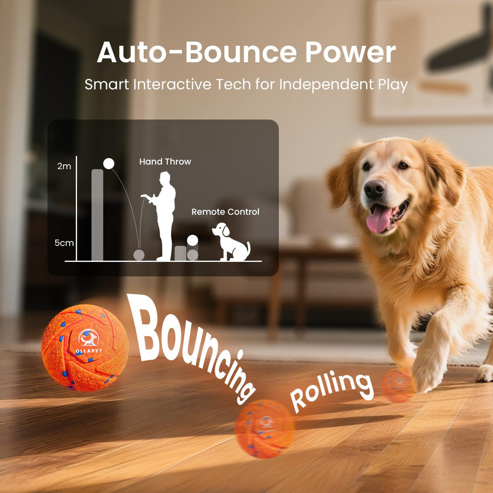 Ollapet ball remote control shown for easy mode switching