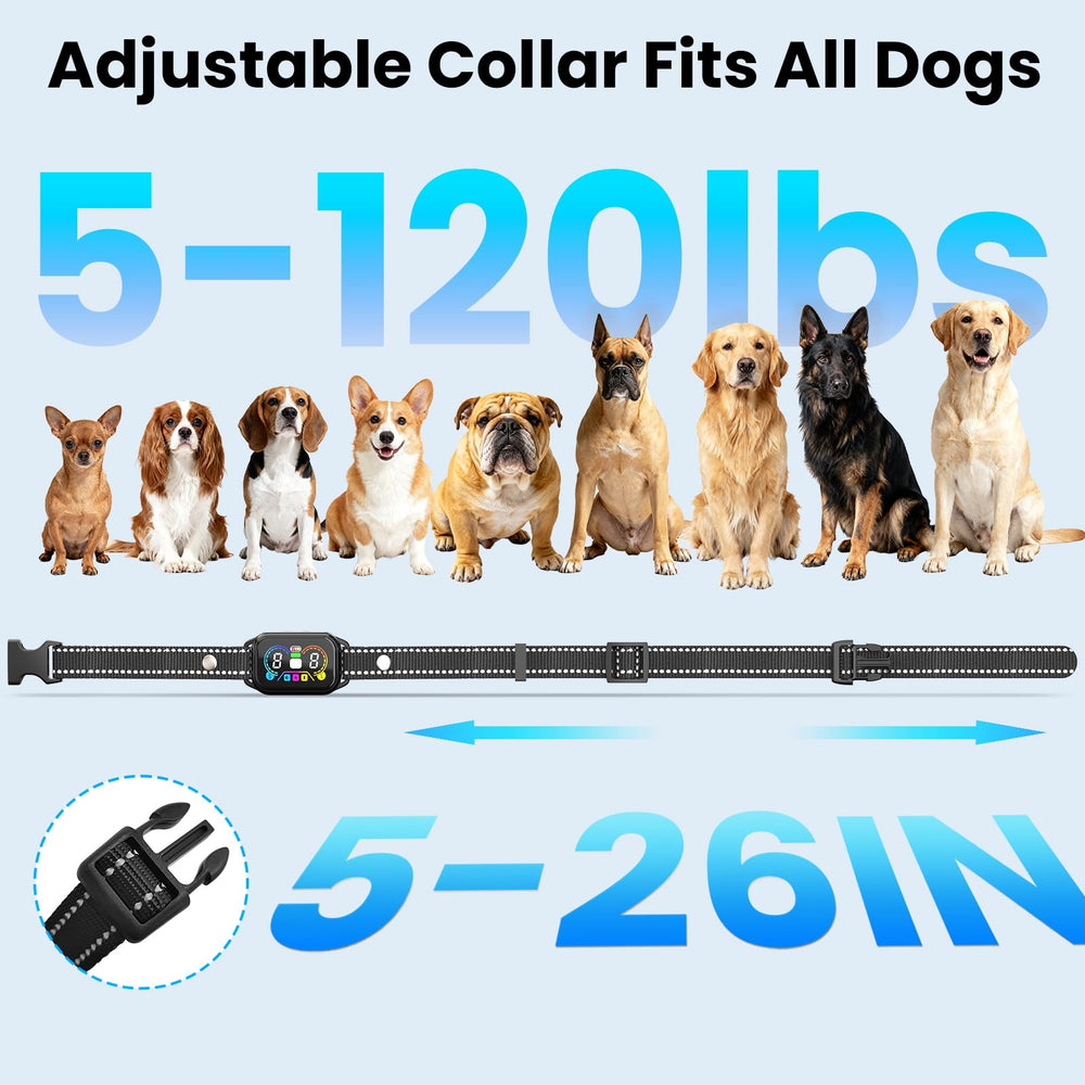 Ollapet portable training collar with lanyard for on-the-go use