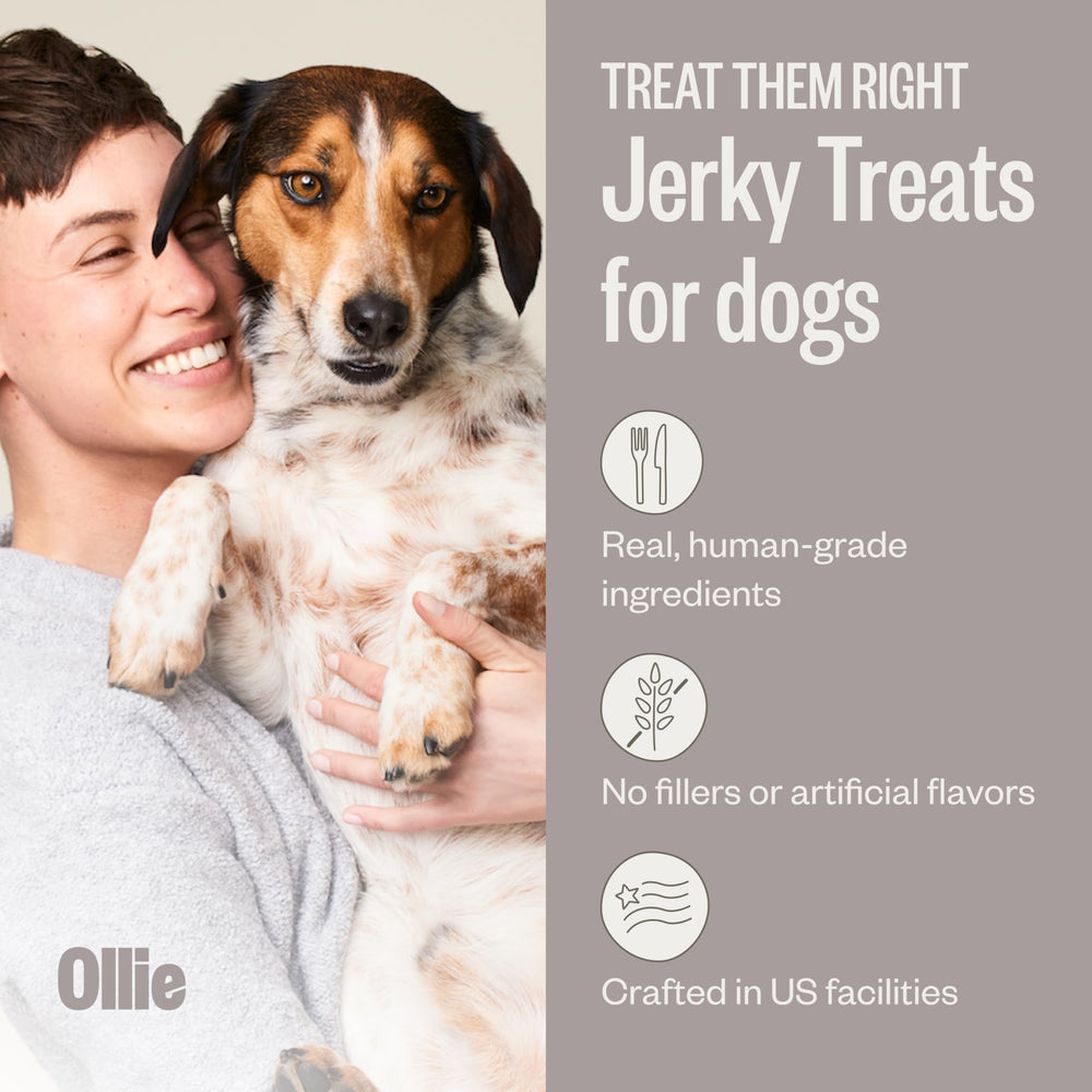 Ollie beef and sweet potato jerky pack, real meat for tasty snacks