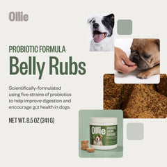 Ollie Belly Rubs emphasizes digestion support for dogs in an appealing chew.