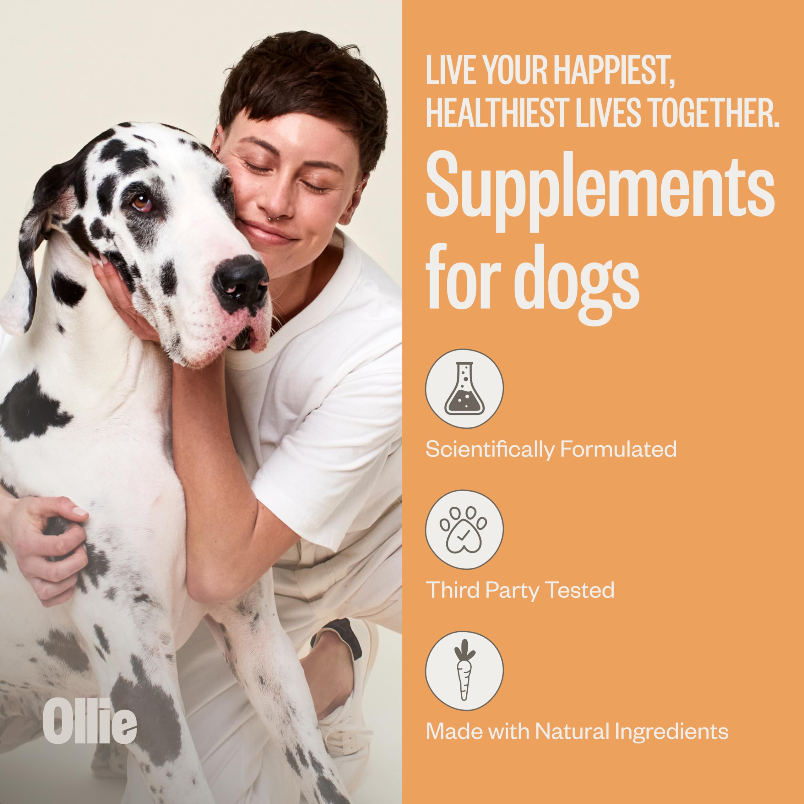 Ollie dog paw close-up suggesting easy daily use in routine.