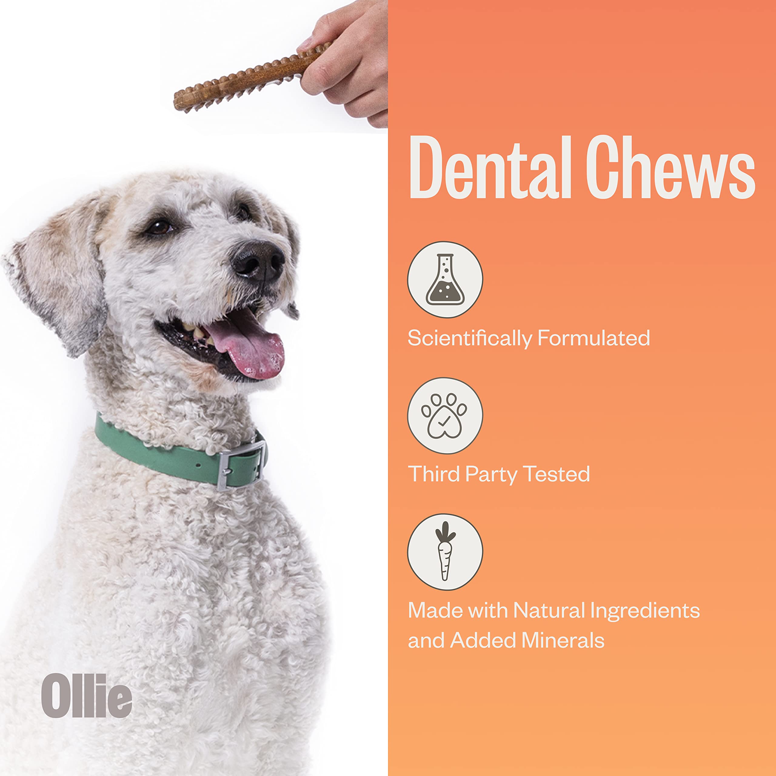 Ollie Dental Chews texture close-up shows chewy form for teeth cleaning.