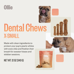 Ollie Dental Chews extra small close-up emphasizes parsley cinnamon scent for fresher breath.