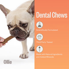 Ollie Dental Chews extra small chew closeup displays texture designed for easy chewing and oral care.