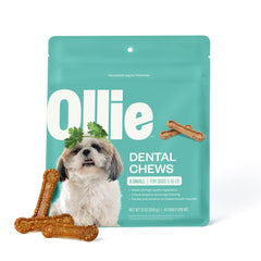 OLLIE Dental Chews extra small packshot highlights a tasty dental treat for tiny dogs with fresh breath support.