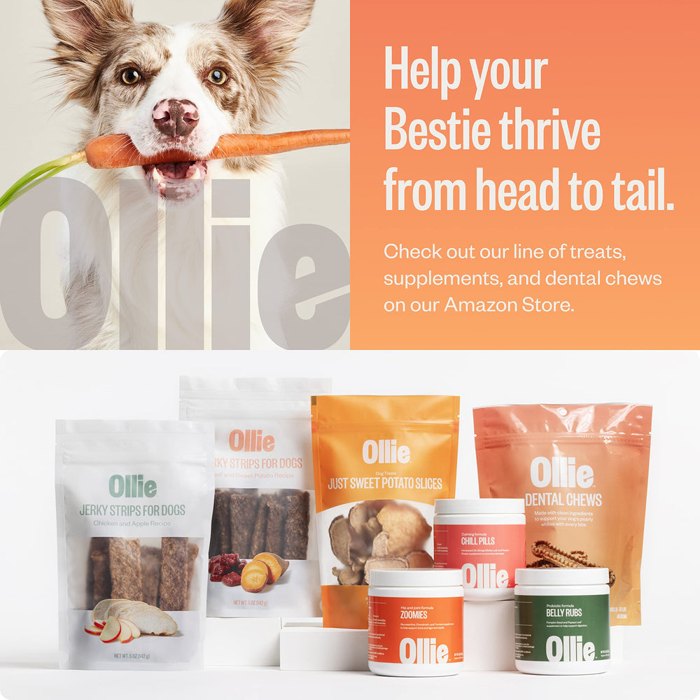 Ollie Dental Chews tub displays XS dosing for 5-15 lb dogs and usage guidance.