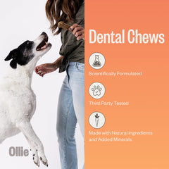 Ollie dental chews fresh-breath stick for chew enjoyment and breath freshness
