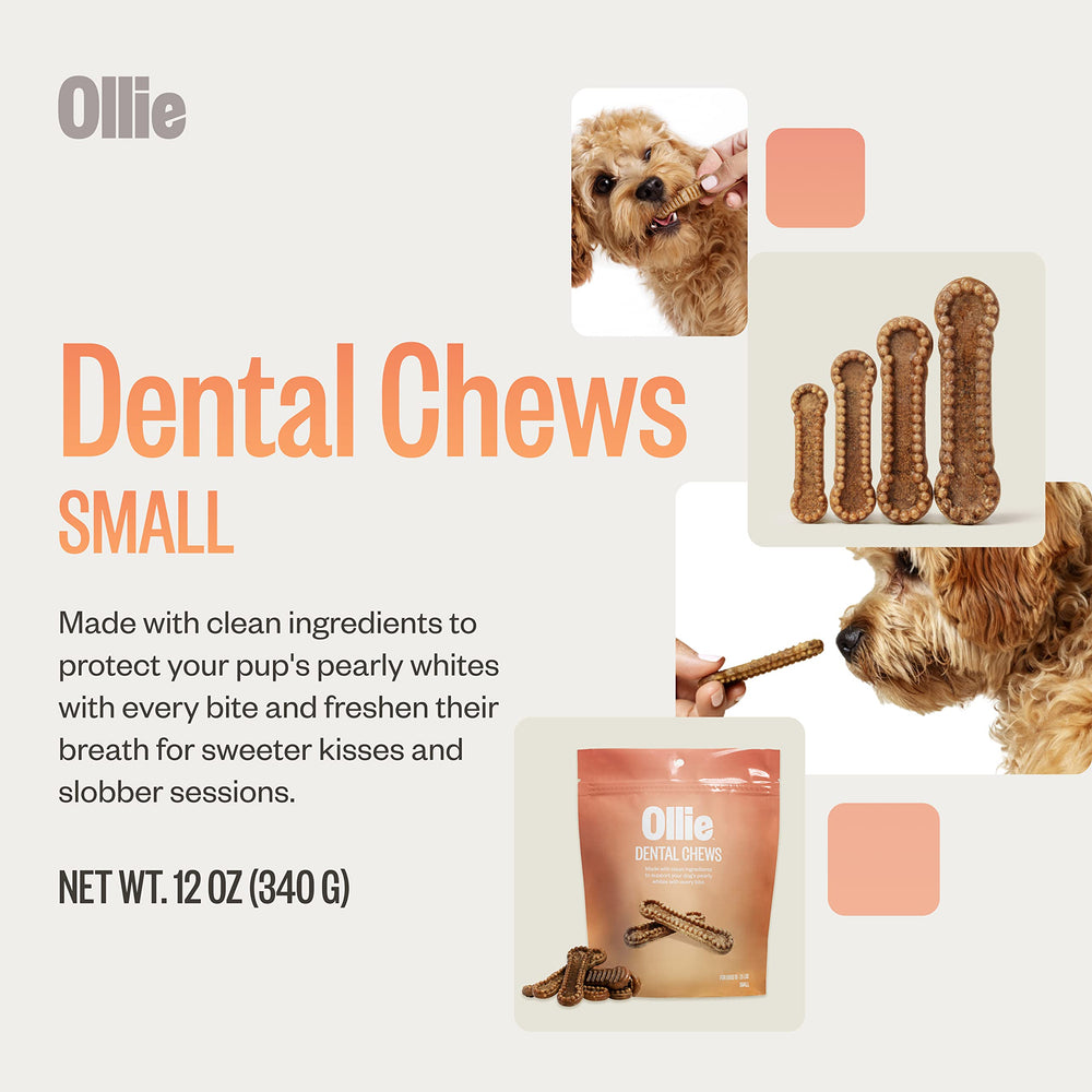 Ollie dental chews ingredients panel highlights parsley and cinnamon for fresh breath.