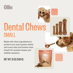 Ollie dental chews ingredients panel highlights parsley and cinnamon for fresh breath.