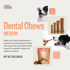Ollie dental chews medium-dog-size bites promote proper chewing and dental care