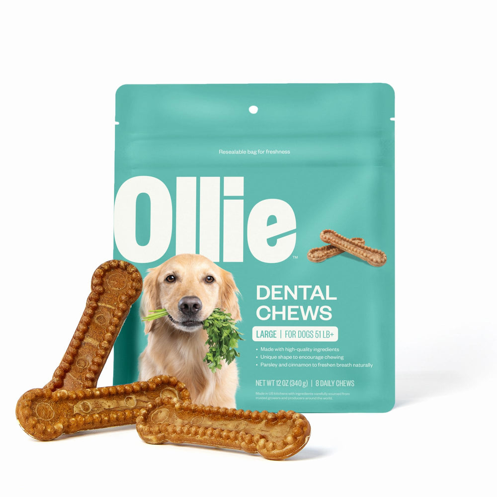 Ollie Dental Chews packaging for large dogs promotes fresh breath and dental care.